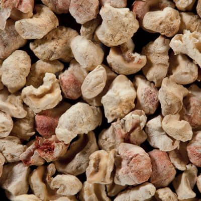 Granule de Cocean de Porumb